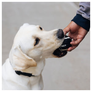 Canada Pooch Go Fetch Tennis Ball & Silicone Holder｜狗狗玩具｜加拿大直送-狗-毛孩物語Pets Thing｜香港寵物貓狗用品專門店：IATA寵物飛機籠、寵物手推車、貓爬架貓樹