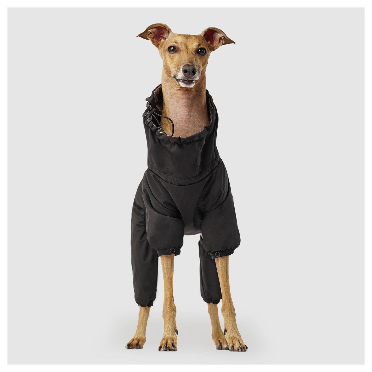 Canada Pooch Snow Suit｜狗狗服飾｜加拿大直送-狗-毛孩物語Pets Thing｜香港寵物貓狗用品專門店：IATA寵物飛機籠、寵物手推車、貓爬架貓樹