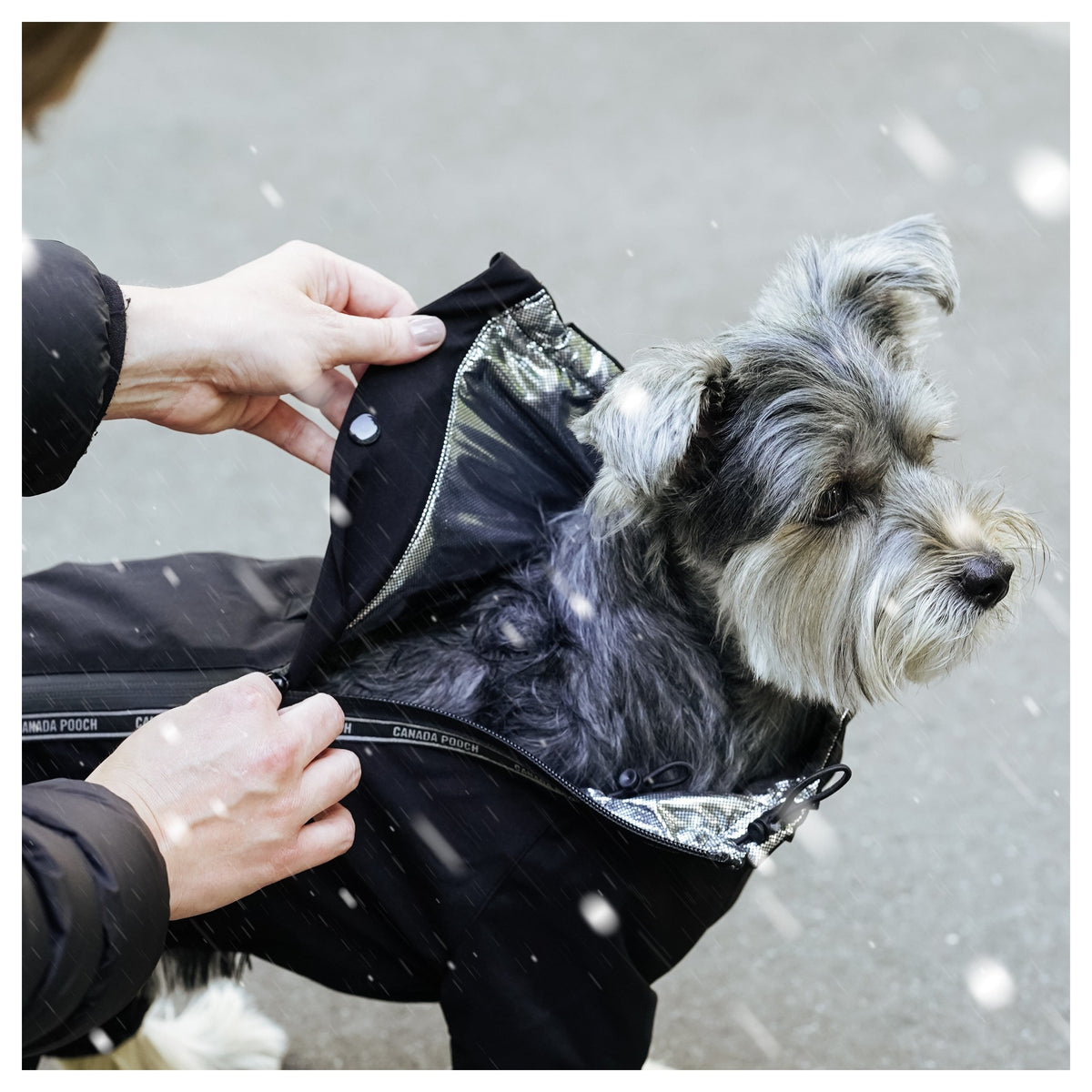 Canada Pooch Snow Suit｜狗狗服飾｜加拿大直送-狗-毛孩物語Pets Thing｜香港寵物貓狗用品專門店：IATA寵物飛機籠、寵物手推車、貓爬架貓樹