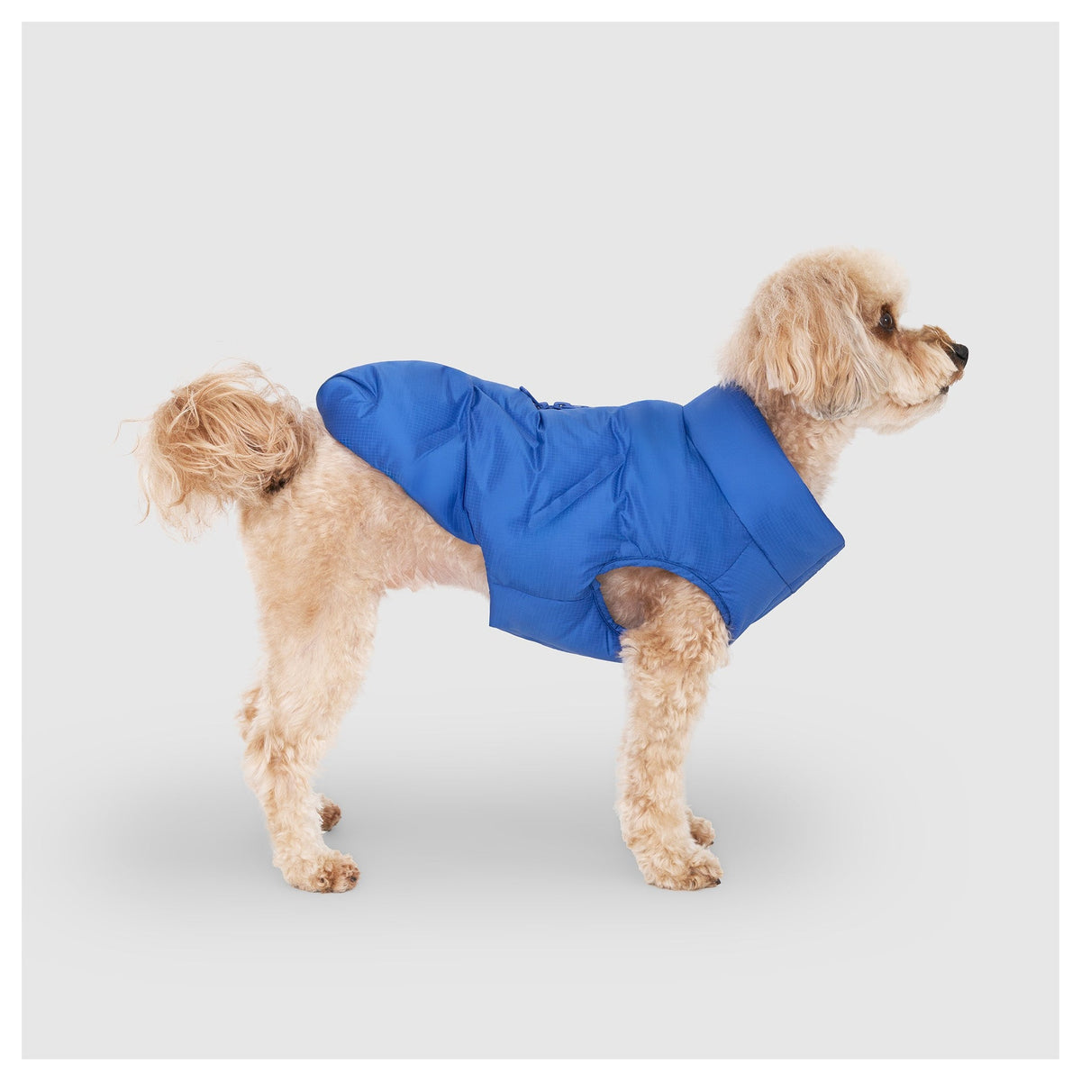 Canada Pooch Waterproof Sport Puffer｜狗狗服飾｜加拿大直送 產品細節圖 2