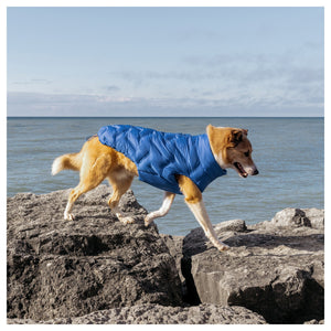 Canada Pooch Waterproof Sport Puffer｜狗狗服飾｜加拿大直送-狗-毛孩物語Pets Thing｜香港寵物貓狗用品專門店：IATA寵物飛機籠、寵物手推車、貓爬架貓樹