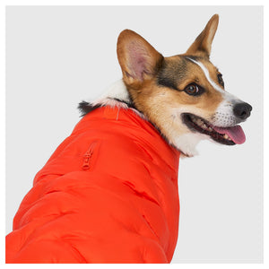 Canada Pooch Waterproof Sport Puffer｜狗狗服飾｜加拿大直送-狗-毛孩物語Pets Thing｜香港寵物貓狗用品專門店：IATA寵物飛機籠、寵物手推車、貓爬架貓樹