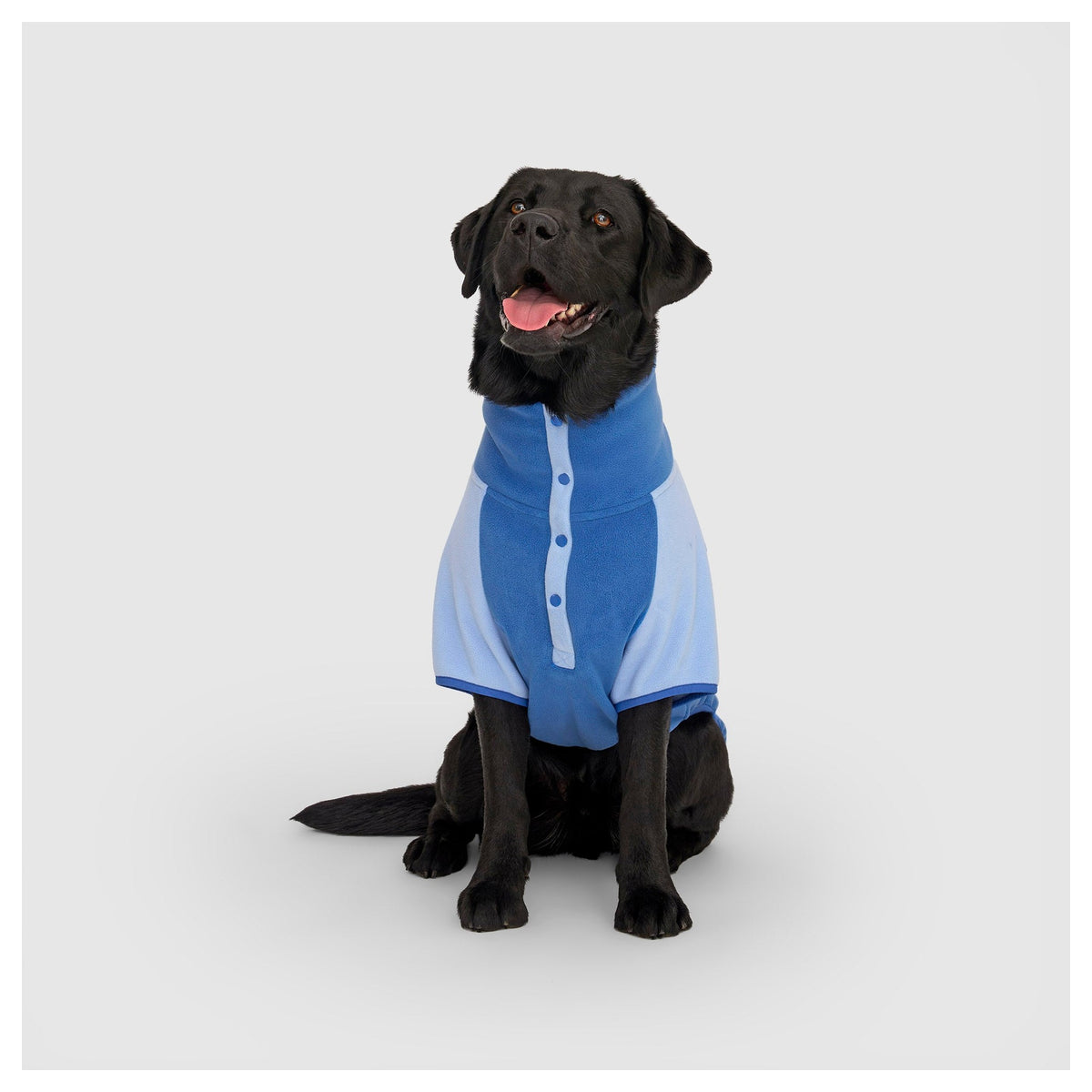Canada Pooch Weather-Resistant Fleece Pullover｜狗狗服飾｜加拿大直送-狗-毛孩物語Pets Thing｜香港寵物貓狗用品專門店：IATA寵物飛機籠、寵物手推車、貓爬架貓樹