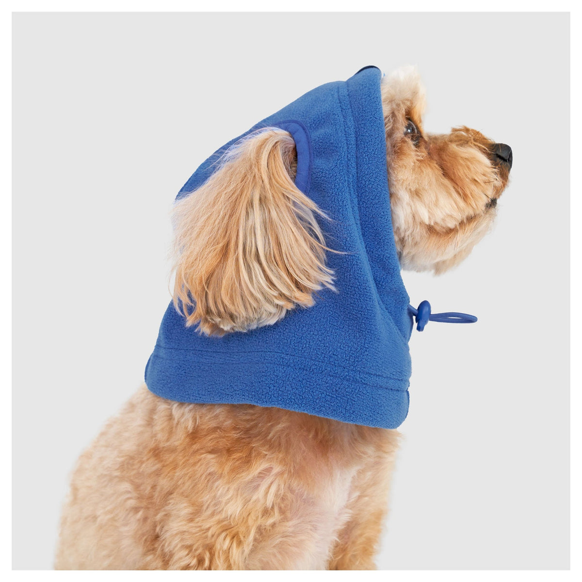 Canada Pooch Weather-Resistant Fleece Balaclava｜狗狗服飾｜加拿大直送-狗-毛孩物語Pets Thing｜香港寵物貓狗用品專門店：IATA寵物飛機籠、寵物手推車、貓爬架貓樹