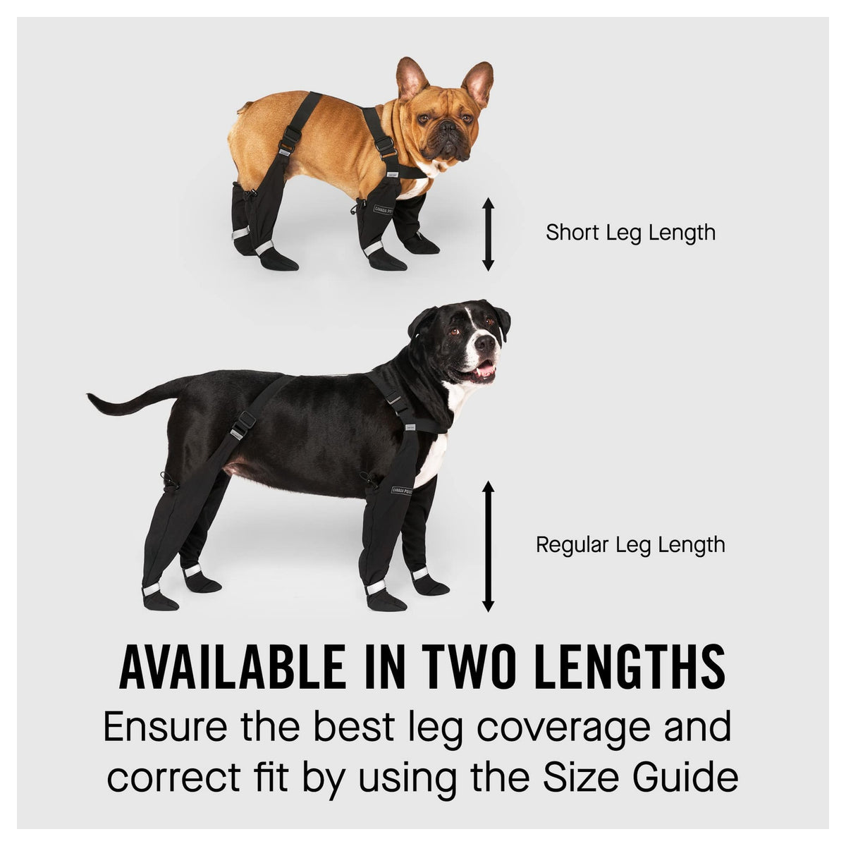 Canada Pooch Suspender Boots｜狗狗鞋襪｜加拿大直送-狗-毛孩物語Pets Thing｜香港寵物貓狗用品專門店：IATA寵物飛機籠、寵物手推車、貓爬架貓樹