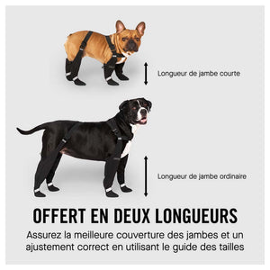 Canada Pooch Suspender Boots｜狗狗鞋襪｜加拿大直送-狗-毛孩物語Pets Thing｜香港寵物貓狗用品專門店：IATA寵物飛機籠、寵物手推車、貓爬架貓樹