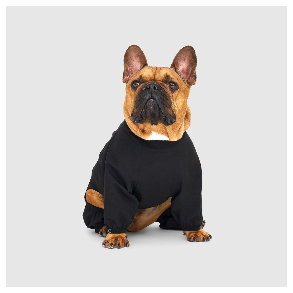Canada Pooch Waterproof Slush Suit｜狗狗雨具｜加拿大直送 產品細節圖 2