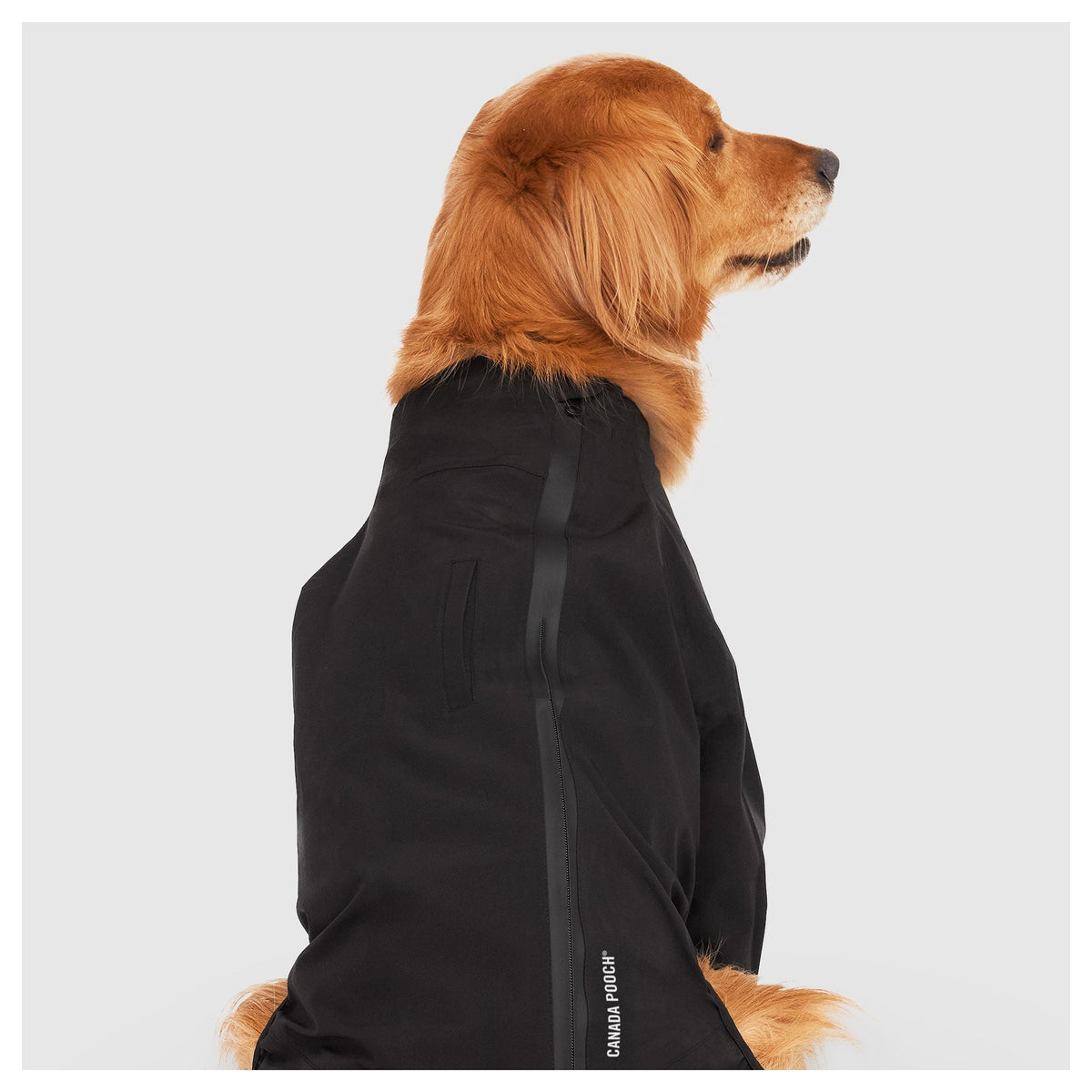 Canada Pooch Waterproof Slush Suit｜狗狗雨具｜加拿大直送-狗-毛孩物語Pets Thing｜香港寵物貓狗用品專門店：IATA寵物飛機籠、寵物手推車、貓爬架貓樹