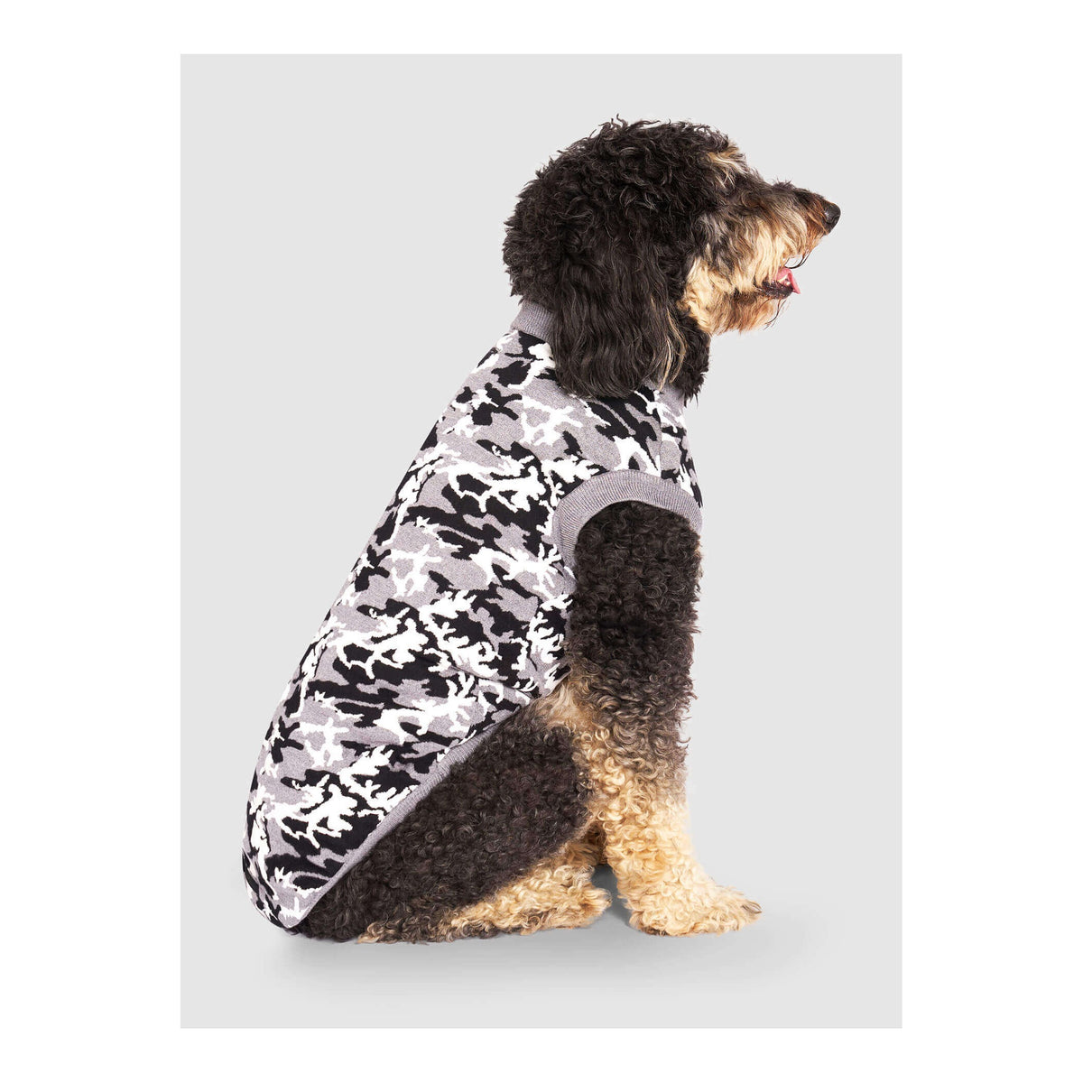 Canada Pooch Glow-In-The-Dark Sweater｜狗狗服飾｜加拿大直送 主產品圖