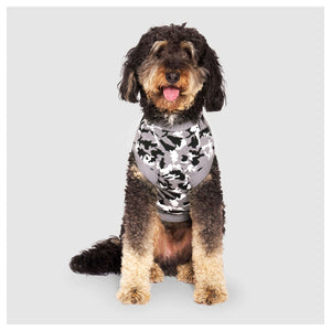 Canada Pooch Glow-In-The-Dark Sweater｜狗狗服飾｜加拿大直送 產品細節圖 2