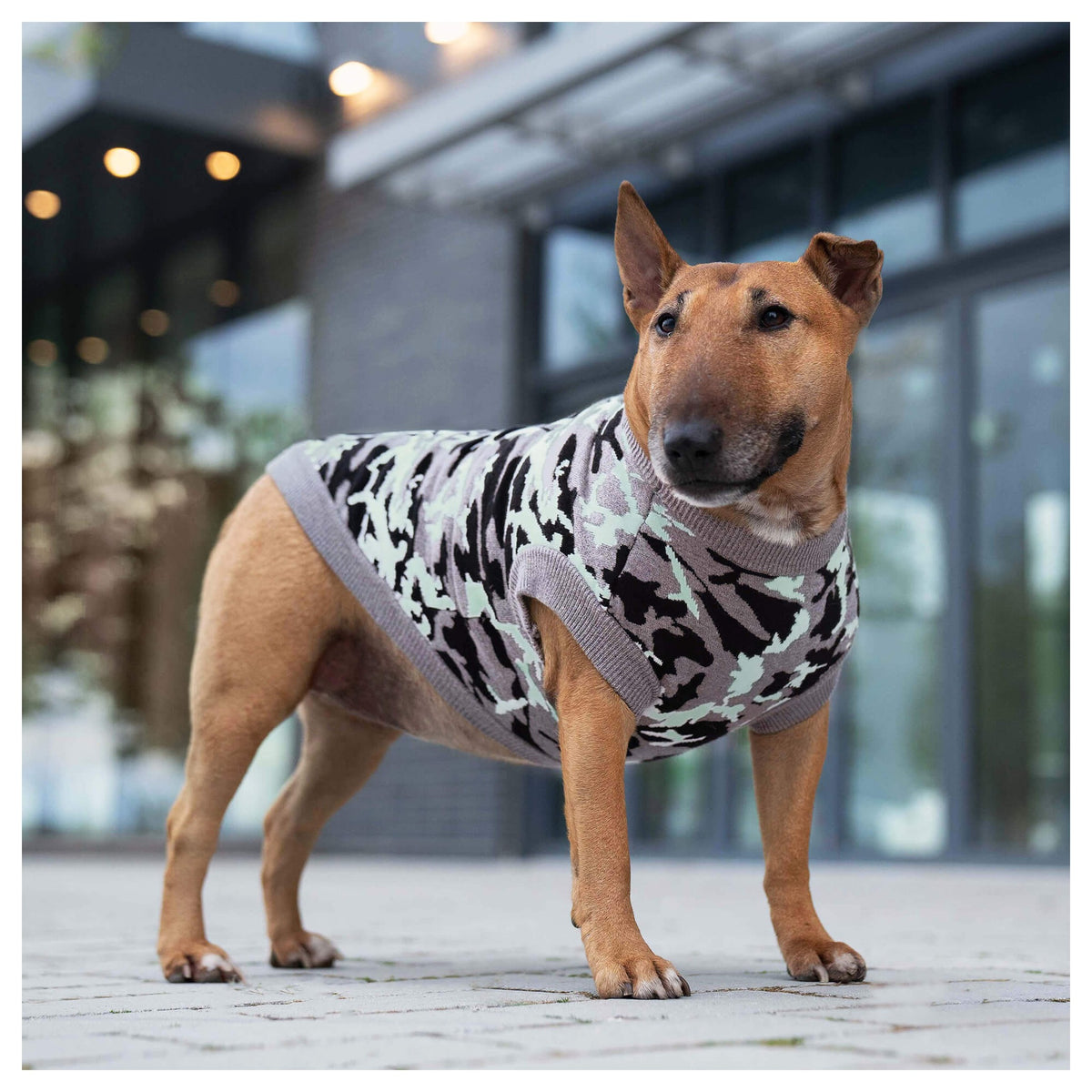 Canada Pooch Glow-In-The-Dark Sweater｜狗狗服飾｜加拿大直送 產品細節圖 5