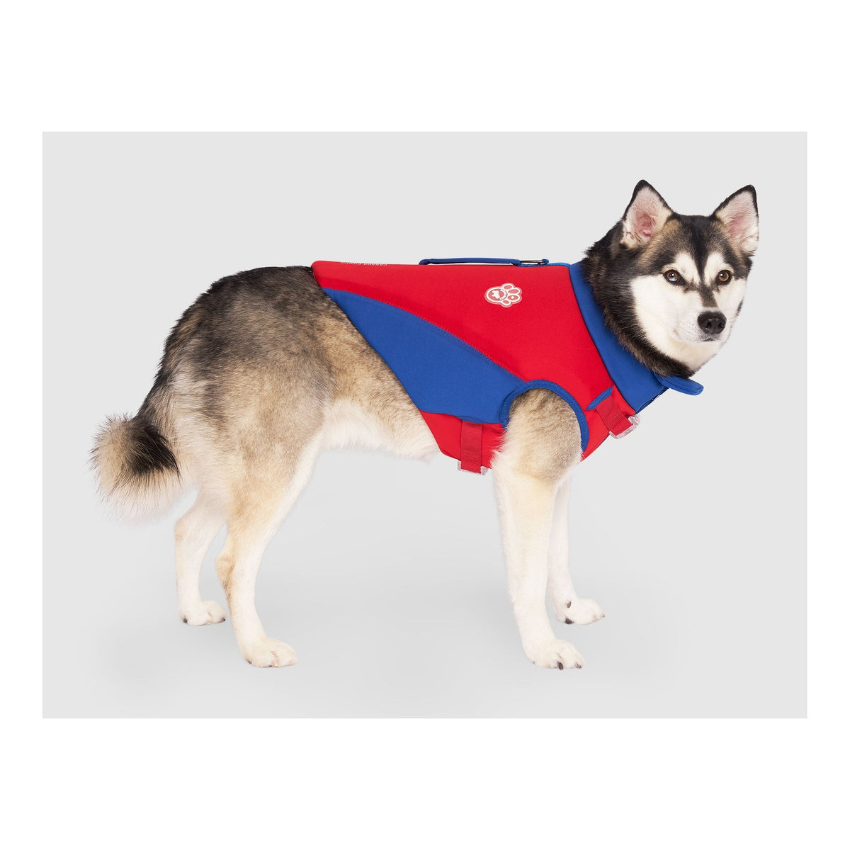 Canada Pooch High Tide Life Jacket｜狗狗游泳用品｜加拿大直送 主產品圖