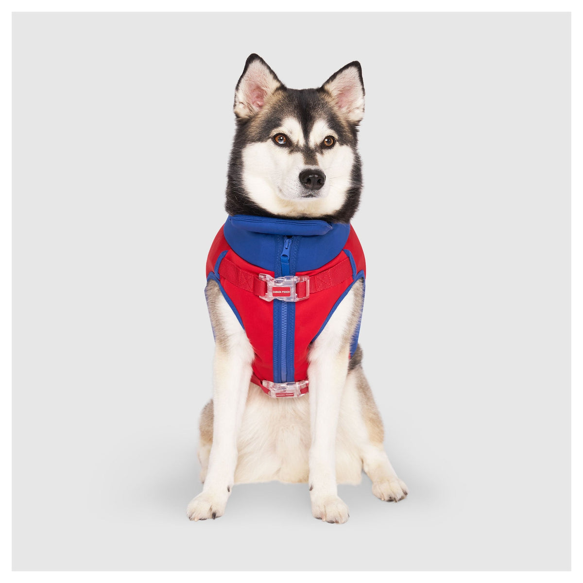 Canada Pooch High Tide Life Jacket｜狗狗游泳用品｜加拿大直送 產品細節圖 2