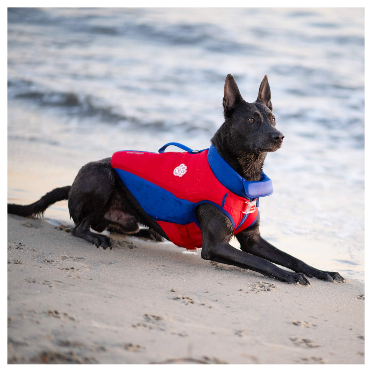 Canada Pooch High Tide Life Jacket｜狗狗游泳用品｜加拿大直送 產品細節圖 5