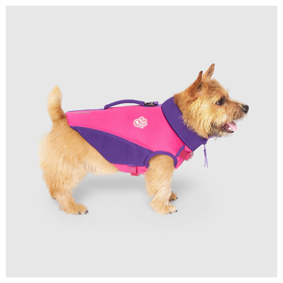 Canada Pooch High Tide Life Jacket｜狗狗游泳用品｜加拿大直送 產品細節圖 6