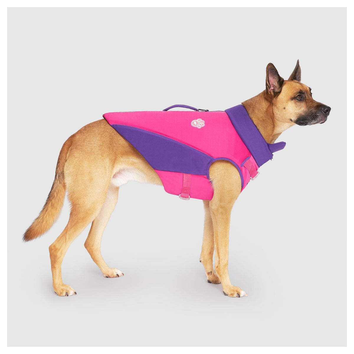 Canada Pooch High Tide Life Jacket｜狗狗游泳用品｜加拿大直送 產品細節圖 7