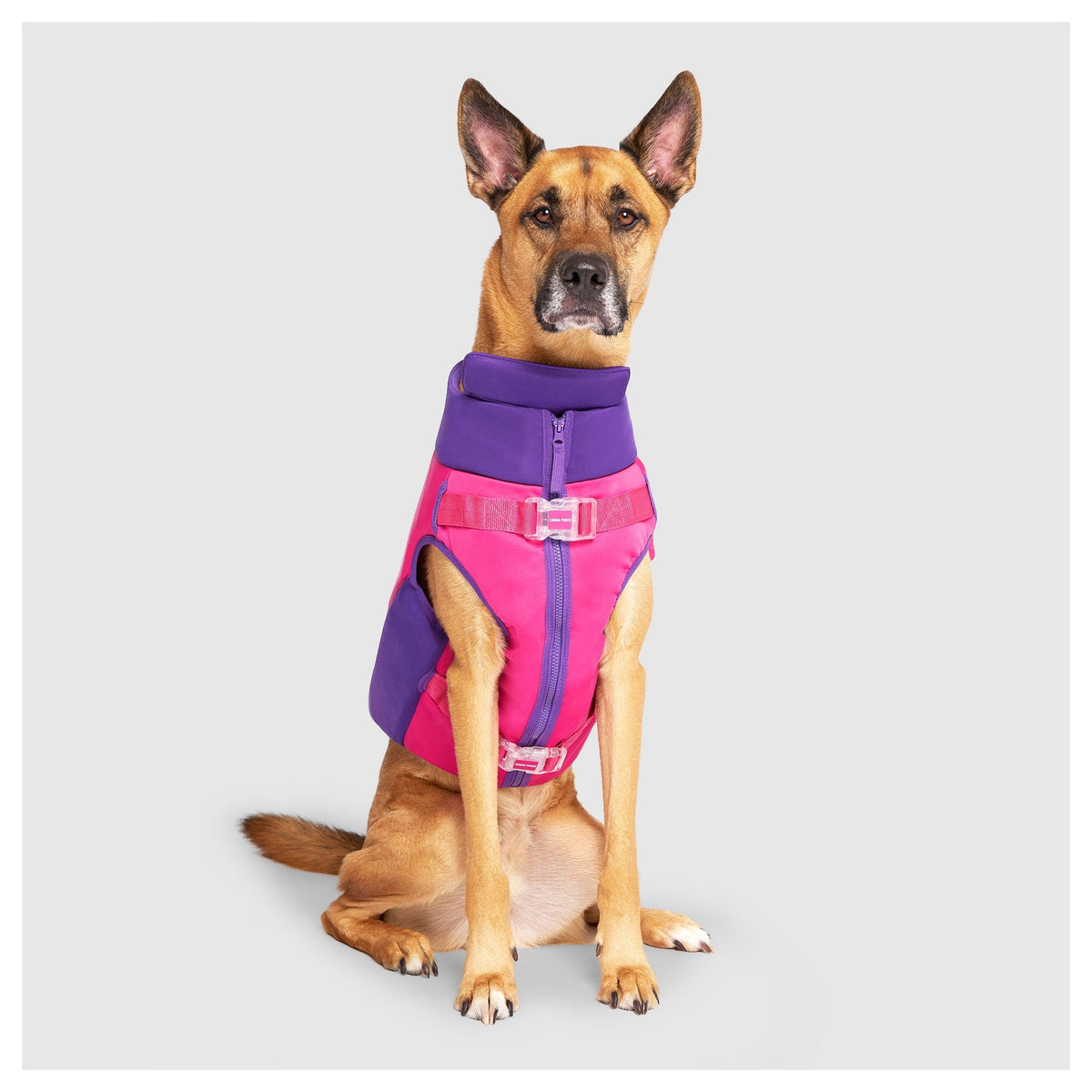 Canada Pooch High Tide Life Jacket｜狗狗游泳用品｜加拿大直送 產品細節圖 8