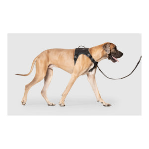 Canada Pooch Complete Control Harness｜狗狗胸帶及戶外用品｜加拿大直送-寵物胸背帶-毛孩物語Pets Thing｜香港寵物貓狗用品專門店：IATA寵物飛機籠、寵物手推車、貓爬架貓樹