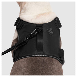 Canada Pooch Complete Control Harness｜狗狗胸帶及戶外用品｜加拿大直送-寵物胸背帶-毛孩物語Pets Thing｜香港寵物貓狗用品專門店：IATA寵物飛機籠、寵物手推車、貓爬架貓樹
