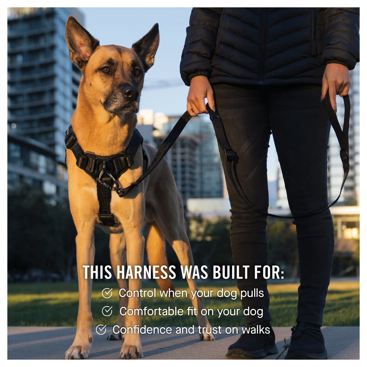 Canada Pooch Complete Control Harness｜狗狗胸帶及戶外用品｜加拿大直送-寵物胸背帶-毛孩物語Pets Thing｜香港寵物貓狗用品專門店：IATA寵物飛機籠、寵物手推車、貓爬架貓樹