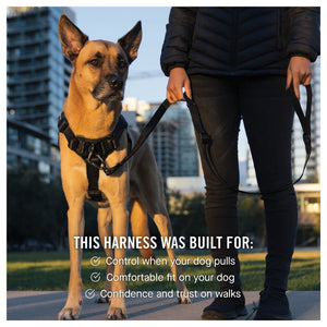 Canada Pooch Complete Control Harness｜狗狗胸帶及戶外用品｜加拿大直送-寵物胸背帶-毛孩物語Pets Thing｜香港寵物貓狗用品專門店：IATA寵物飛機籠、寵物手推車、貓爬架貓樹