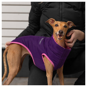 Canada Pooch Reversible Puffer Vest｜狗狗服飾｜加拿大直送-狗-毛孩物語Pets Thing｜香港寵物貓狗用品專門店：IATA寵物飛機籠、寵物手推車、貓爬架貓樹
