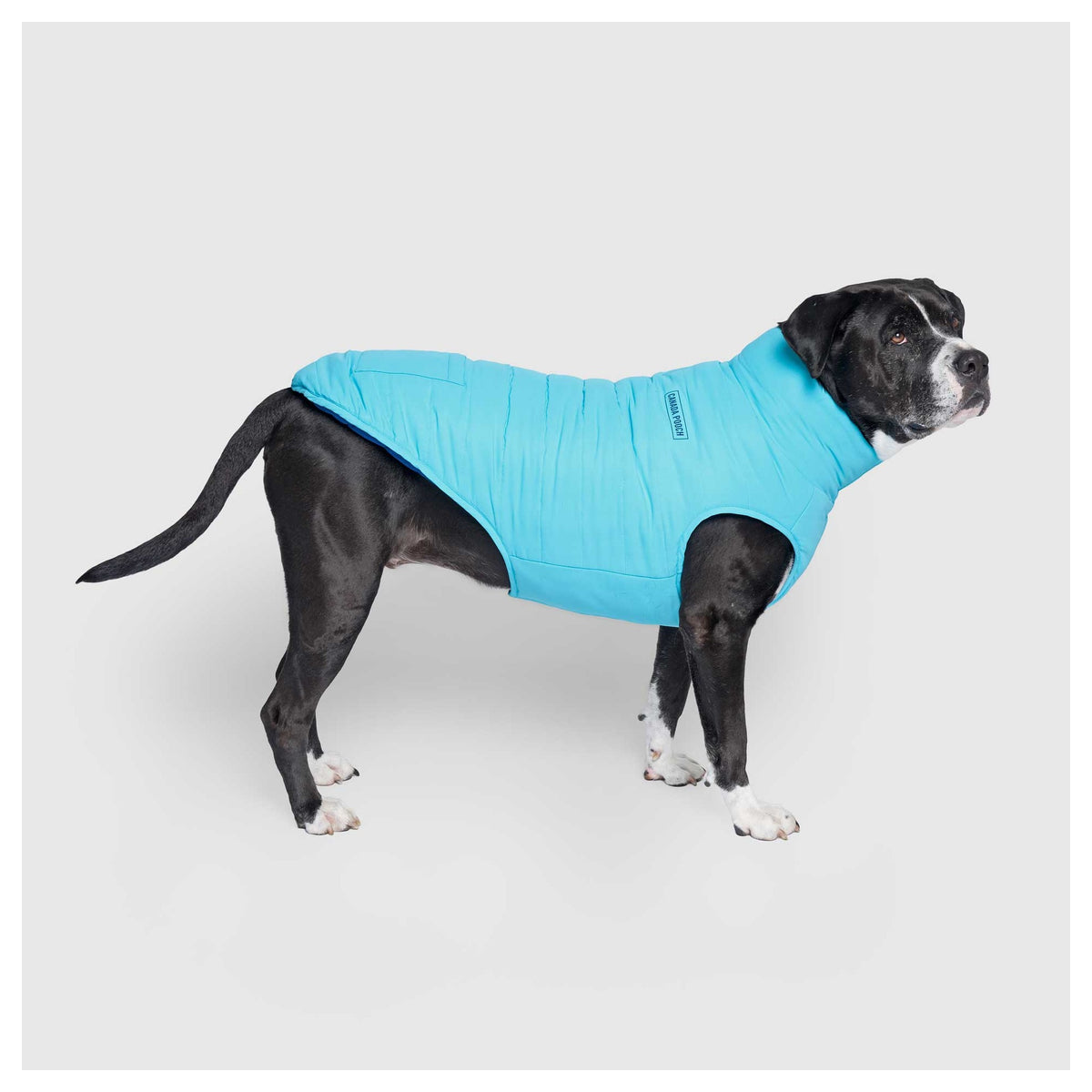 Canada Pooch Reversible Puffer Vest｜狗狗服飾｜加拿大直送-狗-毛孩物語Pets Thing｜香港寵物貓狗用品專門店：IATA寵物飛機籠、寵物手推車、貓爬架貓樹