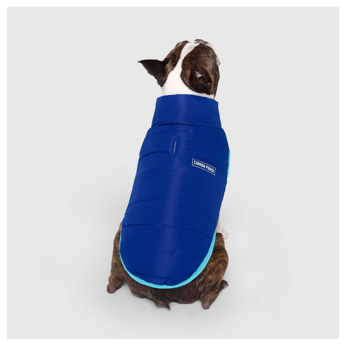 Canada Pooch Reversible Puffer Vest｜狗狗服飾｜加拿大直送-狗-毛孩物語Pets Thing｜香港寵物貓狗用品專門店：IATA寵物飛機籠、寵物手推車、貓爬架貓樹