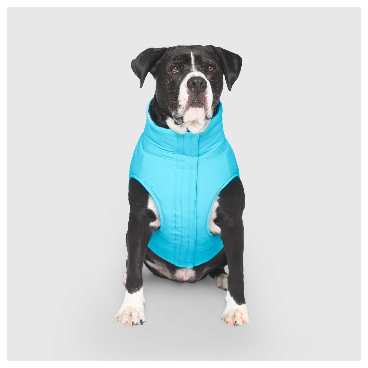 Canada Pooch Reversible Puffer Vest｜狗狗服飾｜加拿大直送-狗-毛孩物語Pets Thing｜香港寵物貓狗用品專門店：IATA寵物飛機籠、寵物手推車、貓爬架貓樹