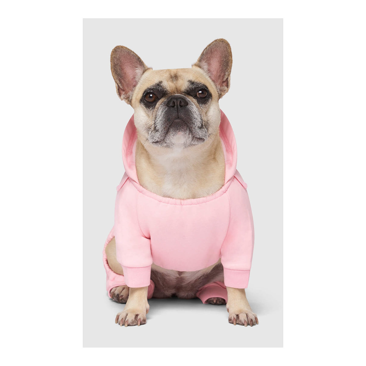 Canada Pooch Soft Side Sweatsuit｜狗狗服飾｜加拿大直送-狗-毛孩物語Pets Thing｜香港寵物貓狗用品專門店：IATA寵物飛機籠、寵物手推車、貓爬架貓樹