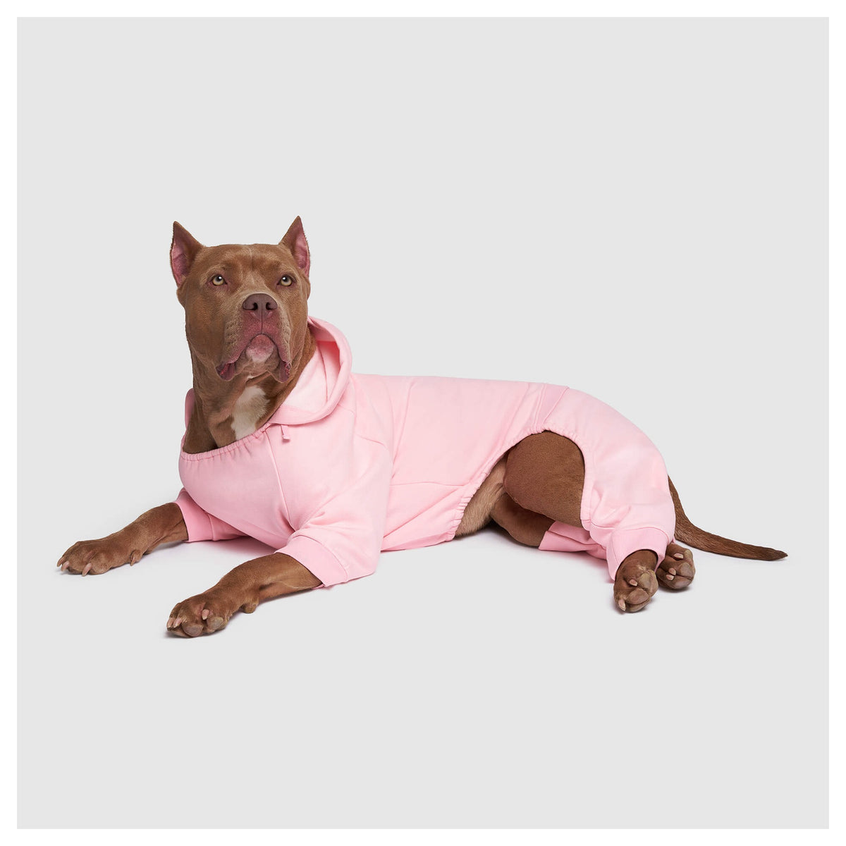 Canada Pooch Soft Side Sweatsuit｜狗狗服飾｜加拿大直送-狗-毛孩物語Pets Thing｜香港寵物貓狗用品專門店：IATA寵物飛機籠、寵物手推車、貓爬架貓樹