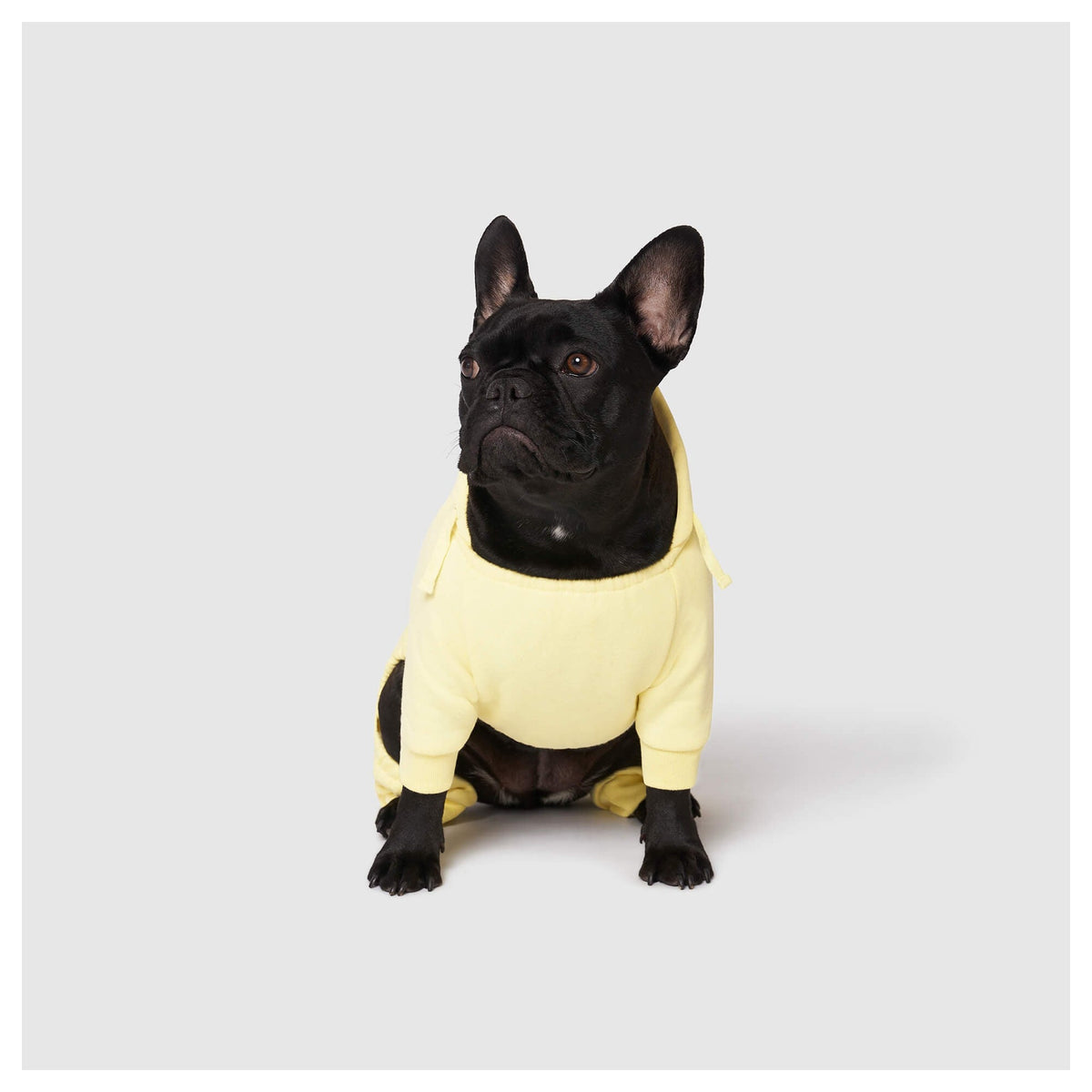 Canada Pooch Soft Side Sweatsuit｜狗狗服飾｜加拿大直送-狗-毛孩物語Pets Thing｜香港寵物貓狗用品專門店：IATA寵物飛機籠、寵物手推車、貓爬架貓樹