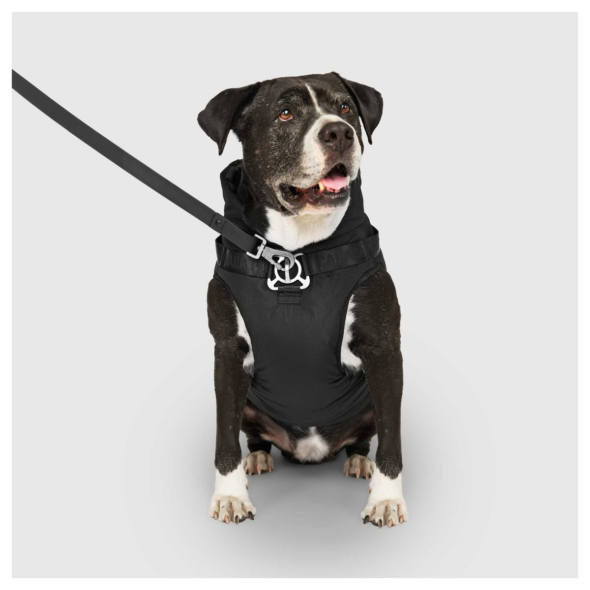 Canada Pooch Complete Control Harness Winter Jacket｜狗狗服飾｜加拿大直送 產品細節圖 2