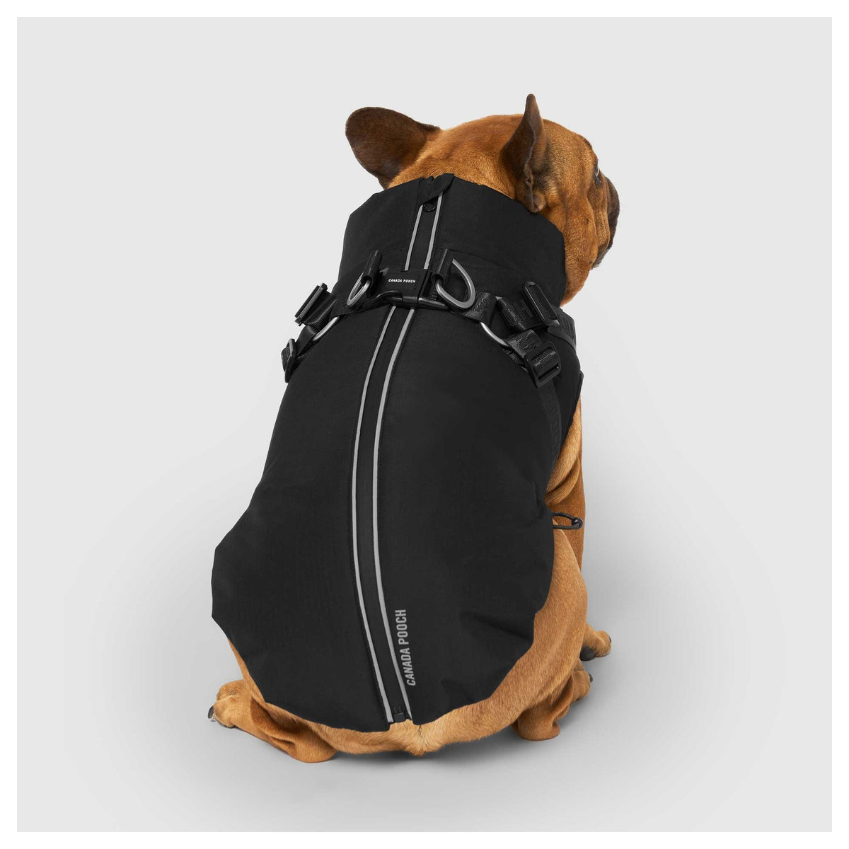 Canada Pooch Complete Control Harness Winter Jacket｜狗狗服飾｜加拿大直送-狗-毛孩物語Pets Thing｜香港寵物貓狗用品專門店：IATA寵物飛機籠、寵物手推車、貓爬架貓樹