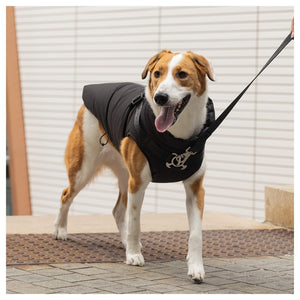 Canada Pooch Complete Control Harness Winter Jacket｜狗狗服飾｜加拿大直送-狗-毛孩物語Pets Thing｜香港寵物貓狗用品專門店：IATA寵物飛機籠、寵物手推車、貓爬架貓樹
