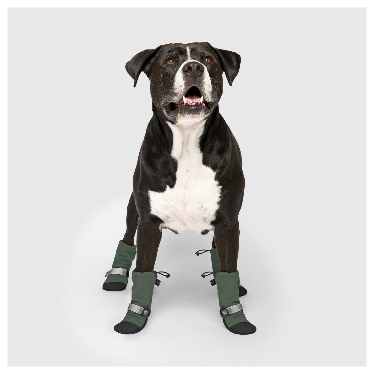 Canada Pooch Soft Shield Boots｜狗狗鞋襪｜加拿大直送 產品細節圖 2