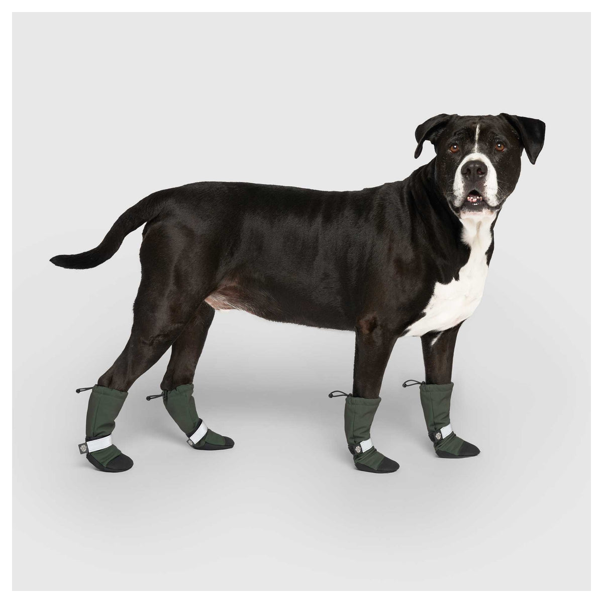 Canada Pooch Soft Shield Boots｜狗狗鞋襪｜加拿大直送 產品細節圖 3