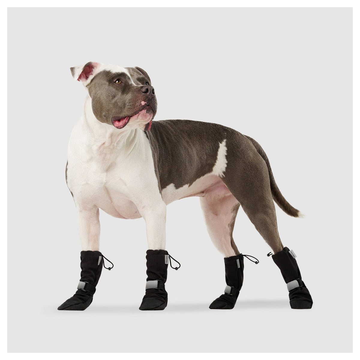Canada Pooch Soft Shield Boots｜狗狗鞋襪｜加拿大直送 產品細節圖 6