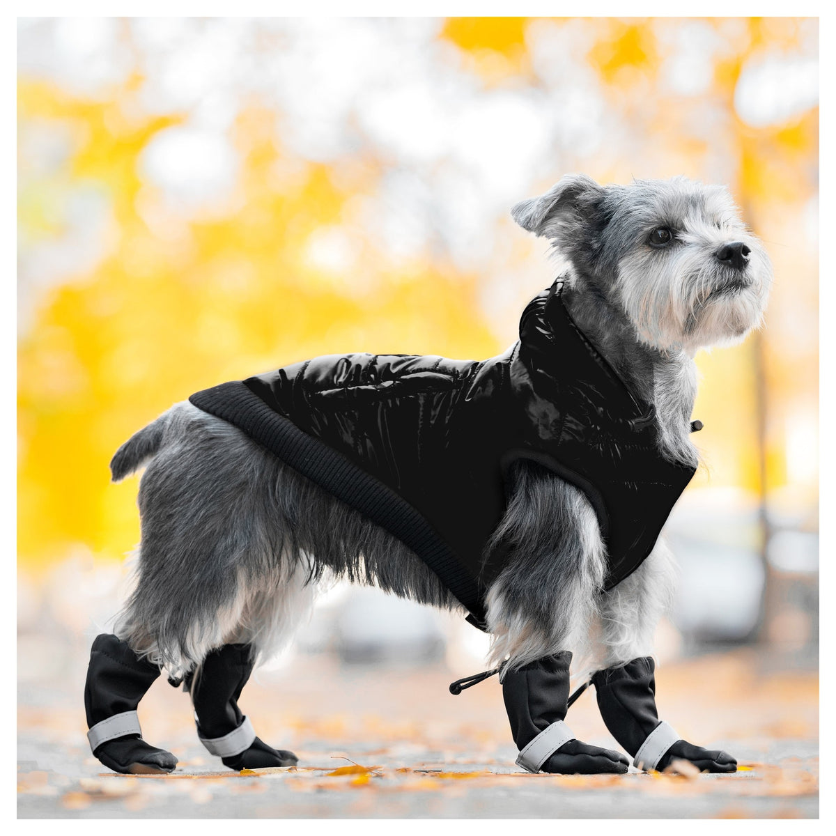 Canada Pooch Soft Shield Boots｜狗狗鞋襪｜加拿大直送 產品細節圖 8