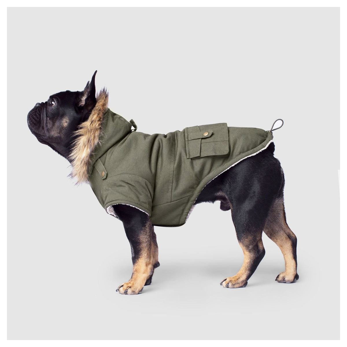 Canada Pooch Alaskan Army Parka｜狗狗服飾｜加拿大直送-狗-毛孩物語Pets Thing｜香港寵物貓狗用品專門店：IATA寵物飛機籠、寵物手推車、貓爬架貓樹