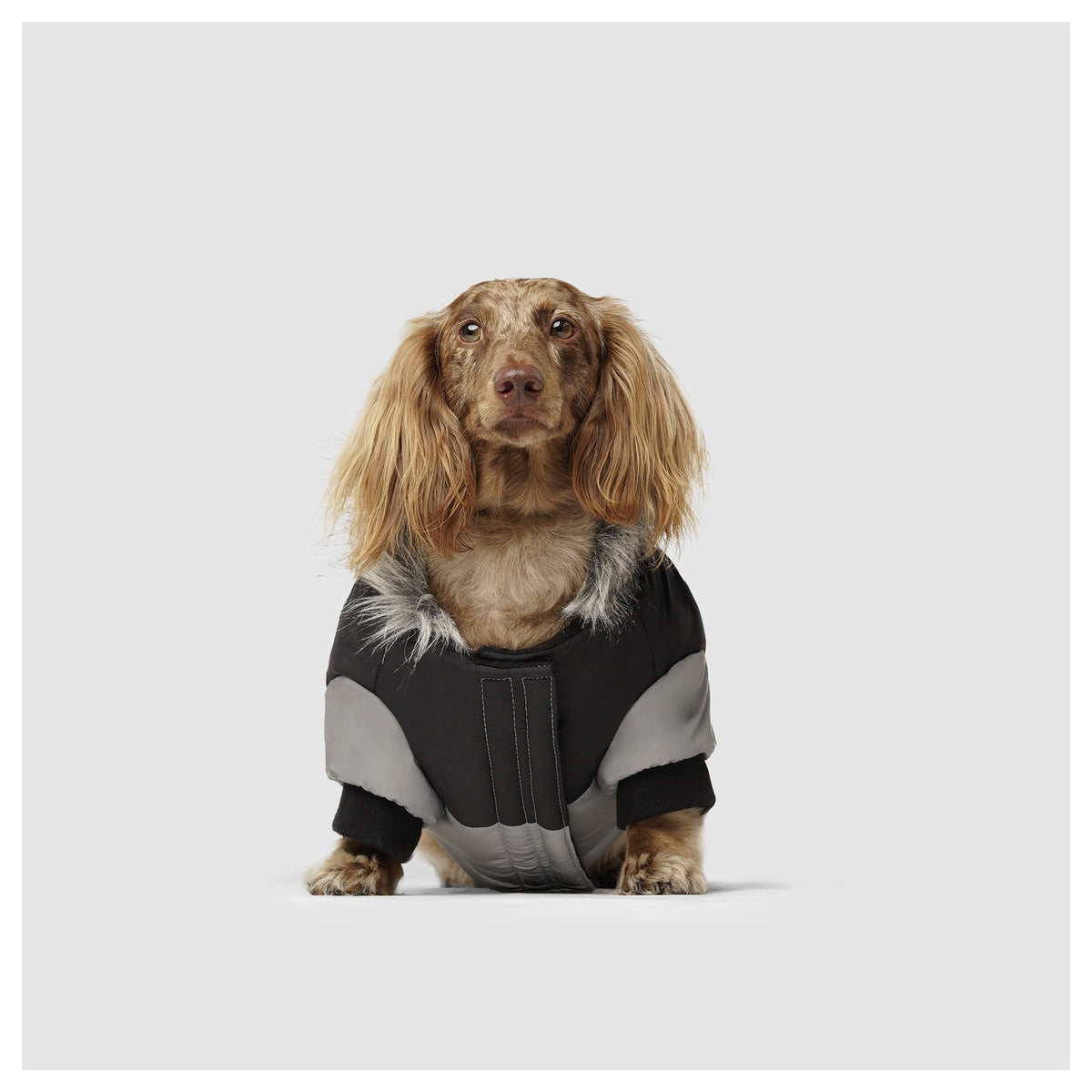 Canada Pooch True North Parka｜狗狗服飾｜加拿大直送-狗-毛孩物語Pets Thing｜香港寵物貓狗用品專門店：IATA寵物飛機籠、寵物手推車、貓爬架貓樹