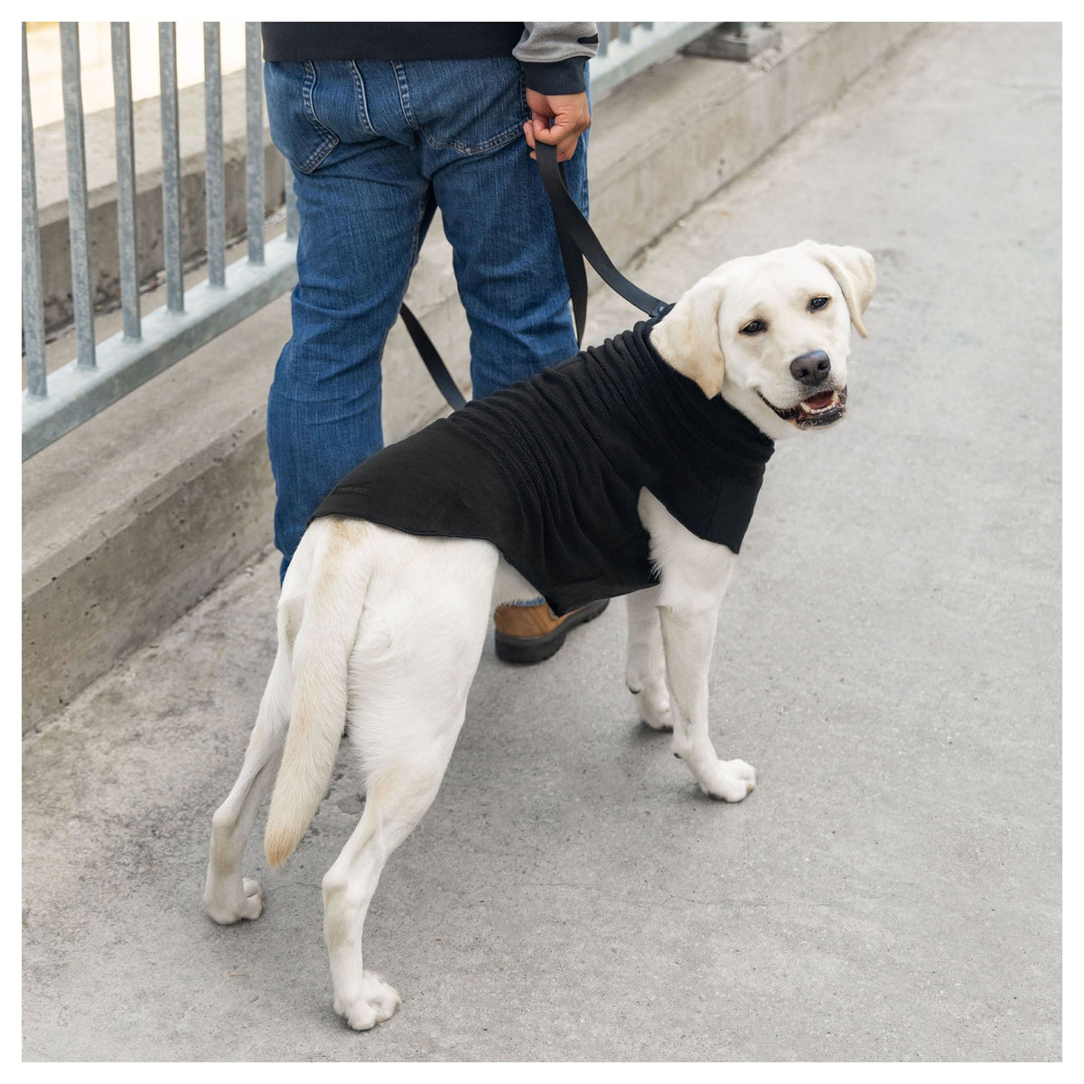 Canada Pooch Easy-On Stretch Fleece｜狗狗服飾｜加拿大直送 產品細節圖 5