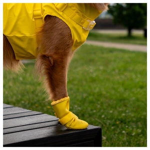 Canada Pooch Waterproof Rain Boots｜狗狗鞋襪｜加拿大直送 產品細節圖 4