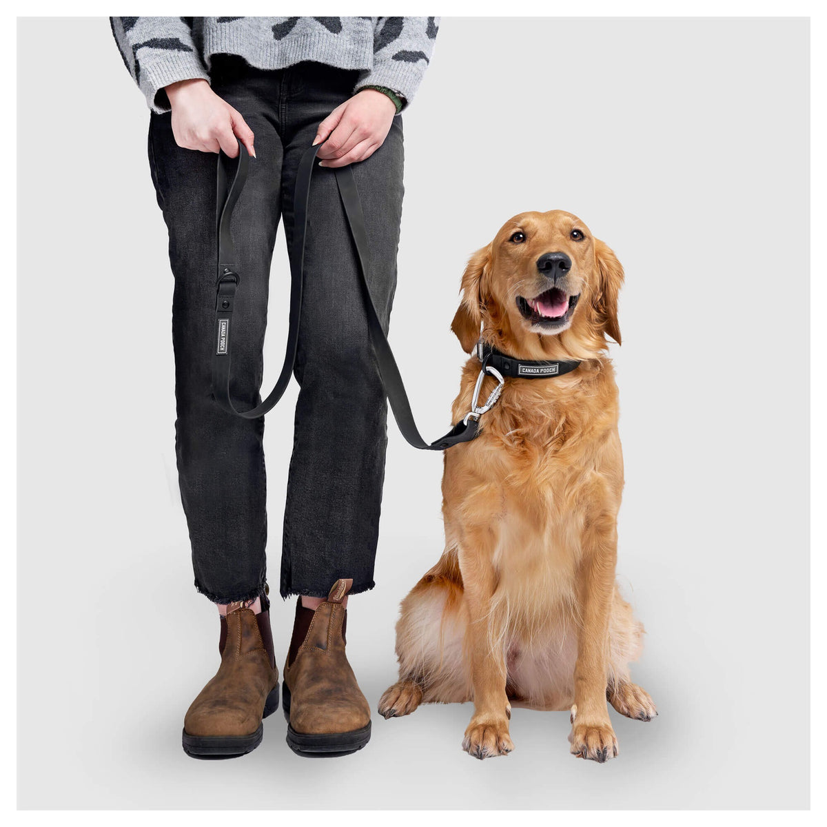 Canada Pooch Waterproof Leash｜狗帶｜加拿大直送-寵物牽引繩-毛孩物語Pets Thing｜香港寵物貓狗用品專門店：IATA寵物飛機籠、寵物手推車、貓爬架貓樹