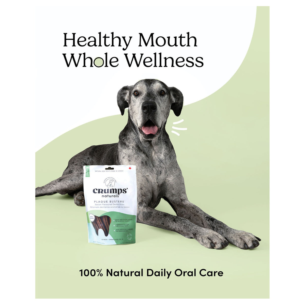 Crumps' Naturals Plaque Busters Bacon Dental Sticks｜狗狗零食｜加拿大直送 產品細節圖 3