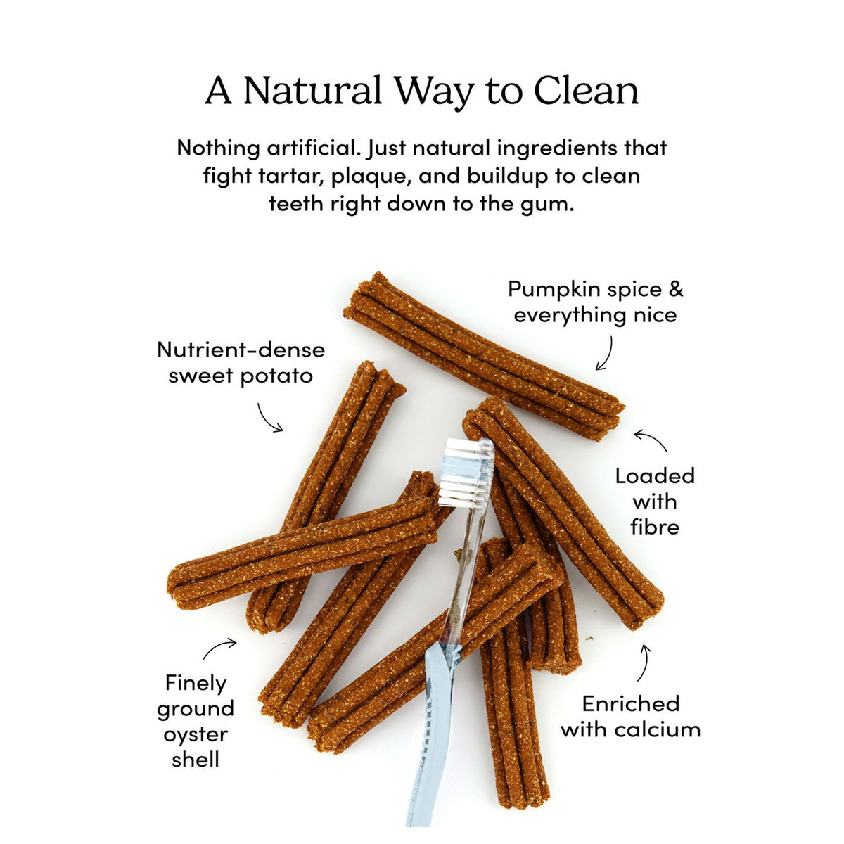 Crumps' Naturals Plaque Busters Pumpkin Spice Dental Sticks｜狗狗零食｜加拿大直送-狗-毛孩物語Pets Thing｜香港寵物貓狗用品專門店：IATA寵物飛機籠、寵物手推車、貓爬架貓樹