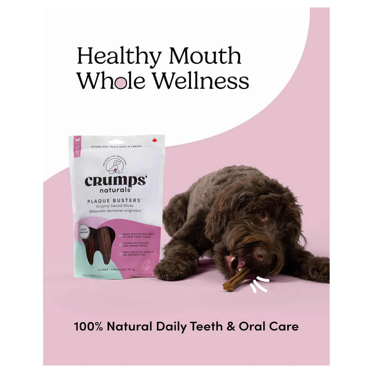 Crumps' Naturals Plaque Busters Original Dental Sticks｜狗狗零食｜加拿大直送 產品細節圖 3
