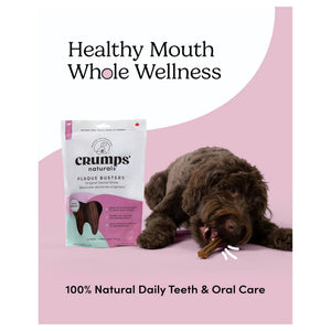 Crumps' Naturals Plaque Busters Original Dental Sticks｜狗狗零食｜加拿大直送 產品細節圖 3