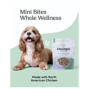 Crumps' Naturals Semi Moist Chicken Mini Trainers｜狗狗零食｜加拿大直送-狗-毛孩物語Pets Thing｜香港寵物貓狗用品專門店：IATA寵物飛機籠、寵物手推車、貓爬架貓樹