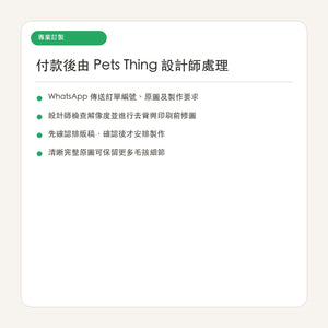 Pets Thing 專業設計師訂製寵物異形相片抱枕 Pets Thing 專業設計服務流程